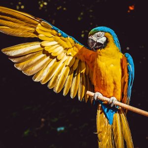 CreativeGaze Photography