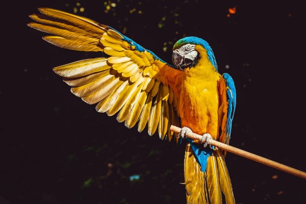 CreativeGaze Photography